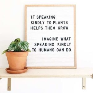 Image result for talking kindly to plants