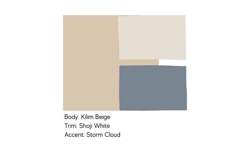 white and beige  Color Palette Ideas