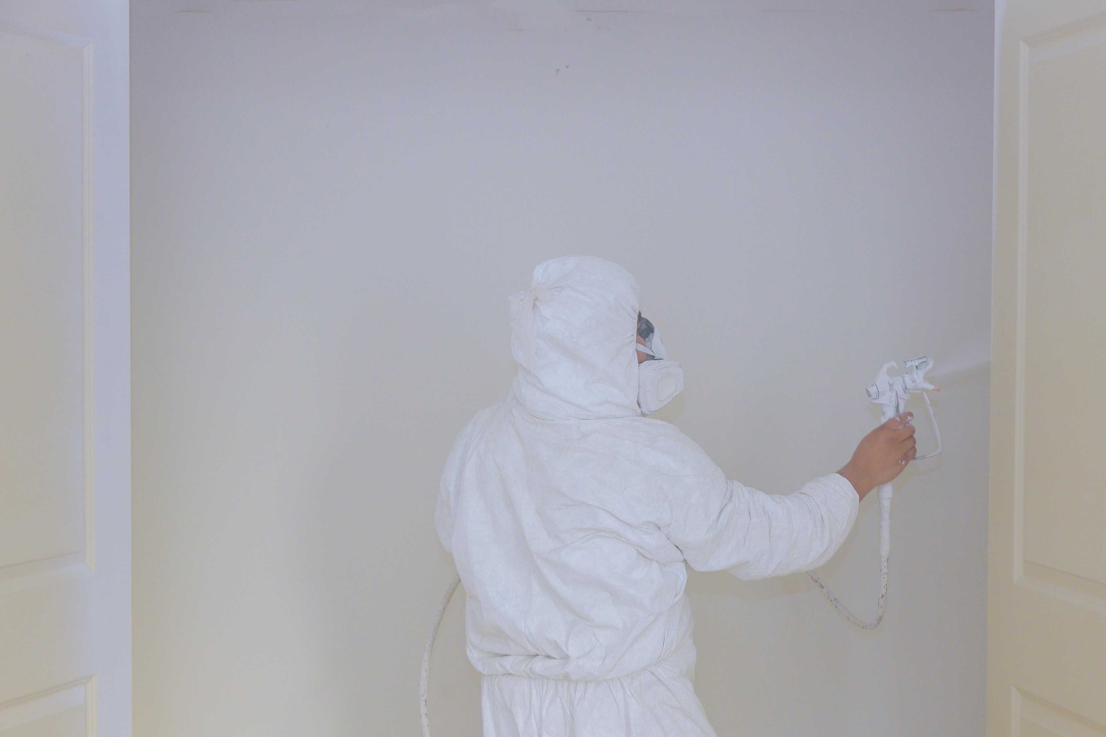 professional with equipment painting